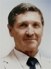 Комаров Валерий Андреевич, профессор