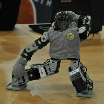 SSAU Team Third At Moscow Robofest