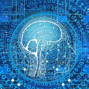 Ученые Самарского университета создали доступный всему миру программный комплекс для исследований в области мозга