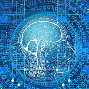 Samara University Scientists Сreated a Worldwide Software Package for Brain Research