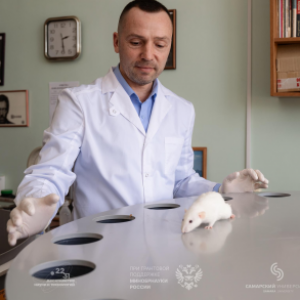 Biologists from Samara Studied in Rats the Effect of Cytokine “Bad Weather” on the Heart Health