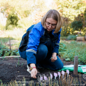 The Cosmonaut Seeds “Landed” in the Botanic Garden