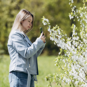 Daffodil Meadow, Guided Tours, and a Live Animal Exhibit: The Botanic Garden Welcomes Its First Spring Guests