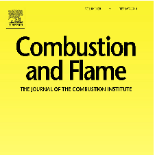 Scientists have presented new data on chemical combustion processes