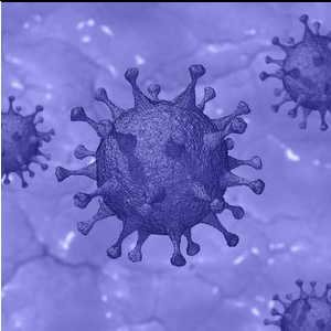 Samara and Spanish scientists have developed a mathematical model of dangerous viral infections outbreaks