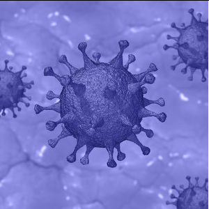 Самарские и испанские ученые разработали математическую модель распространения опасных вирусных инфекций